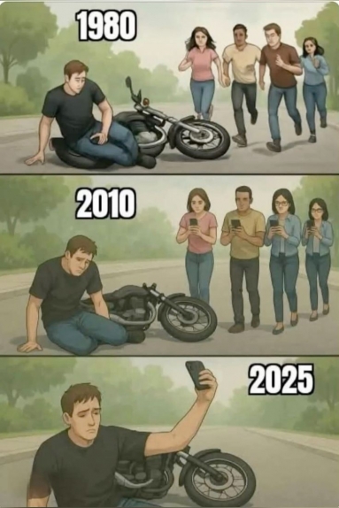 +z215.jpg