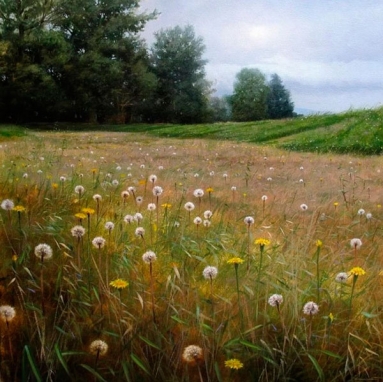 Seeding meadow de Renato Murcillo.jpg