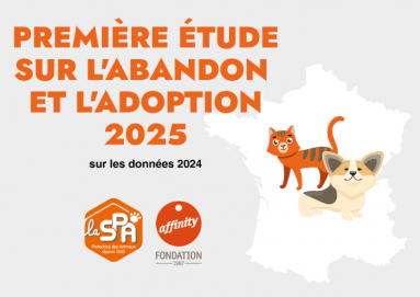 Capture d'écran 2025-10-15 181229.png