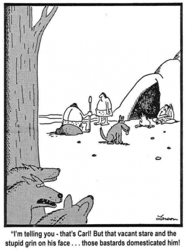 y92.jpg